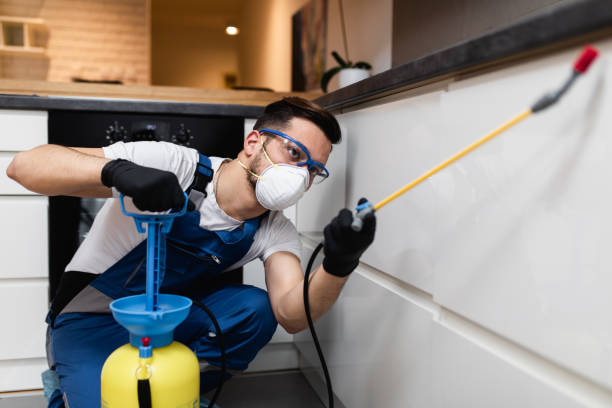 Best Termite Control Services  in Wahneta, FL