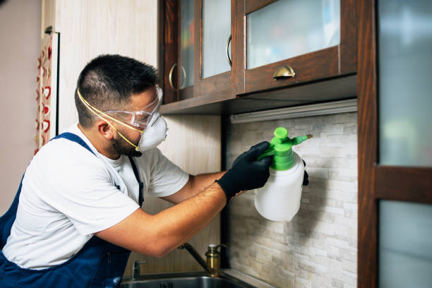 Wildlife Control Services in Wahneta, FL