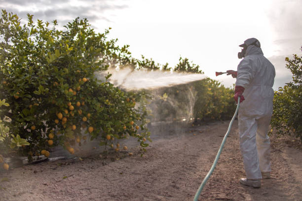 Best Affordable Pest Control Services  in Wahneta, FL