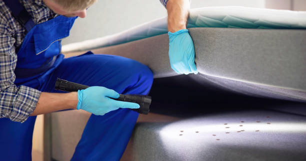 Pest Control Cost in Wahneta, FL