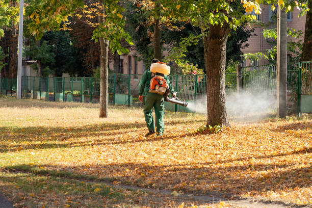Best Best Pest Control Companies  in Wahneta, FL