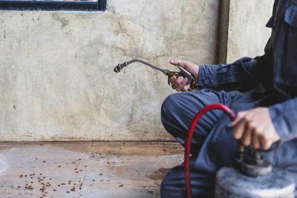 Best Flea Control Services  in Wahneta, FL